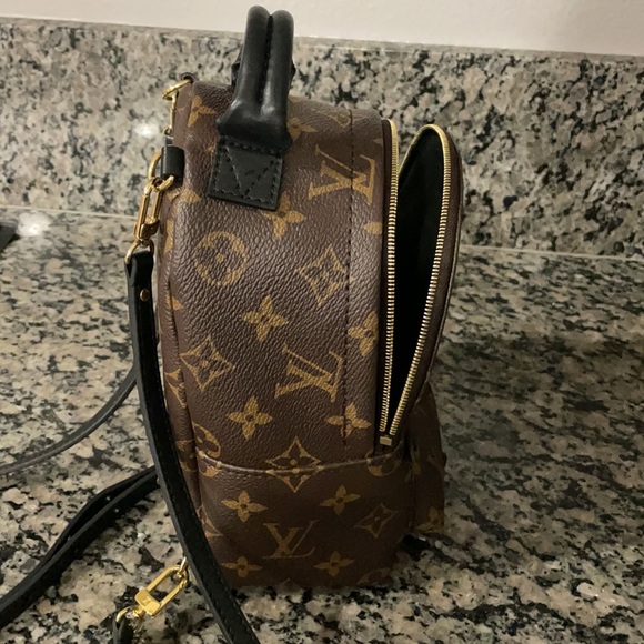 Authentic Louis Vuitton Palm Springs mini - Picture 9 of 16
